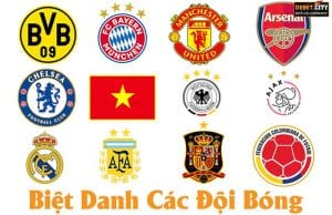 biệt danh các đội bóng